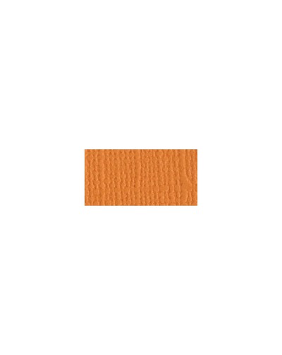CARDSTOCK  APRICOT BAZZILL