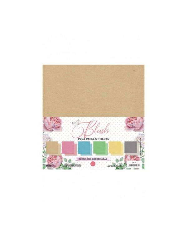 PAD DE PAPELES BLUSH ELENA ROCHE