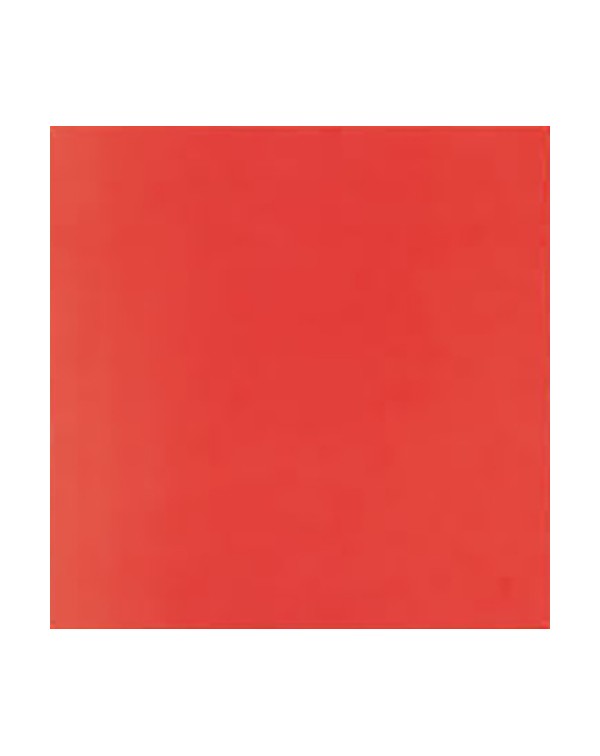 GOMA EVA 12x12" ROJO